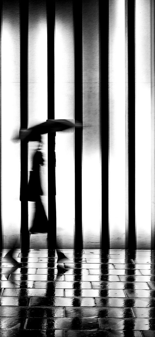 man, silhouette, rain, bw, lattice, movement