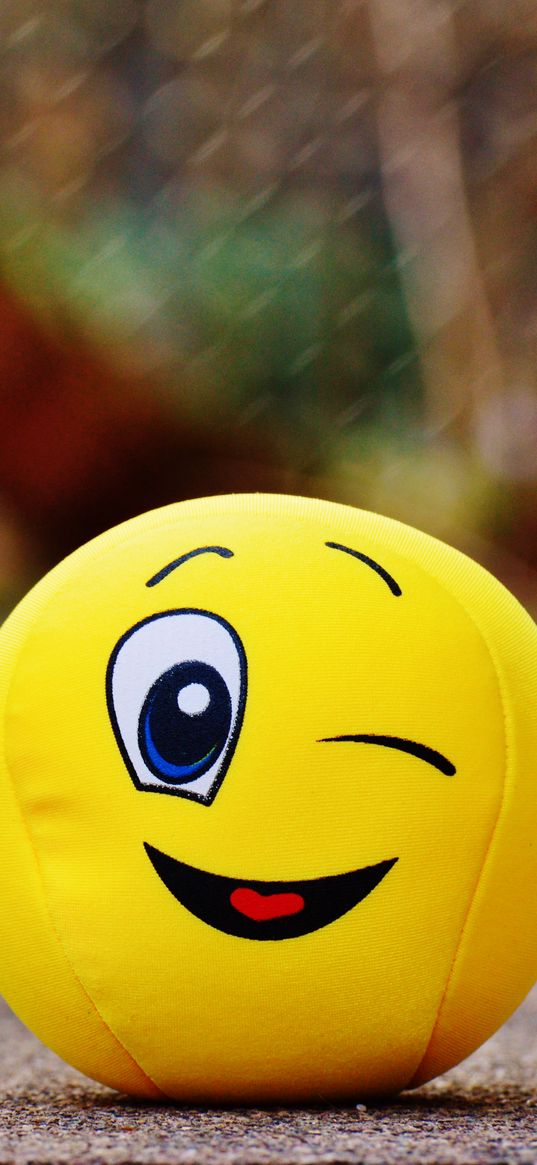 ball, smile, happy, toy