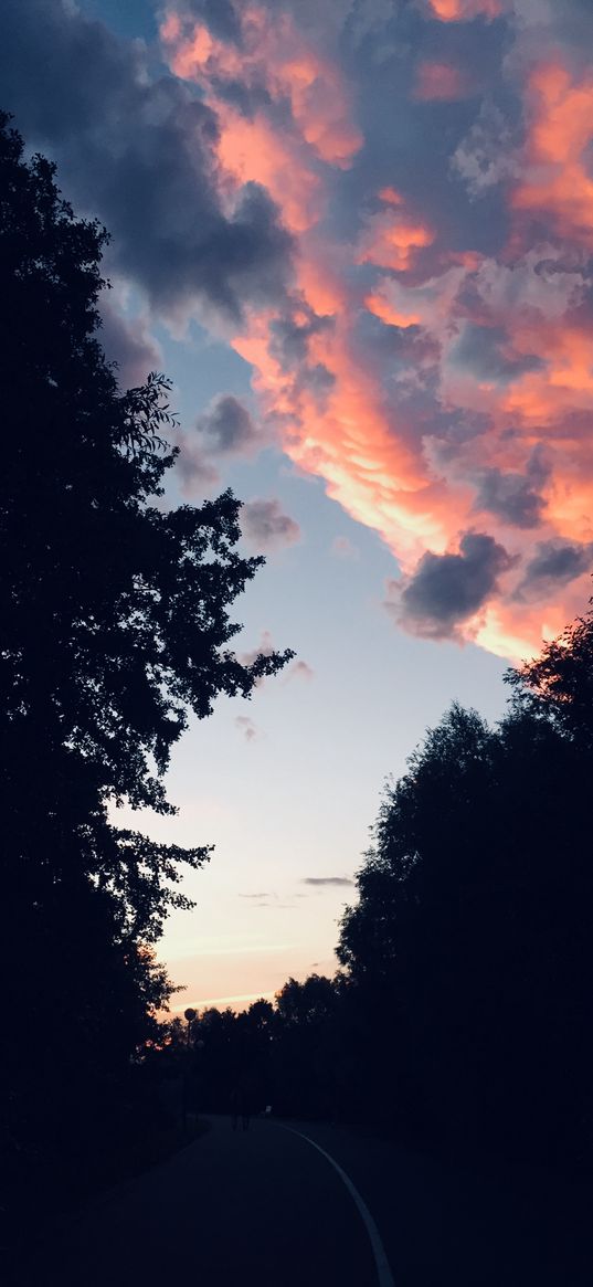 clouds, trees, evening, sky, twist