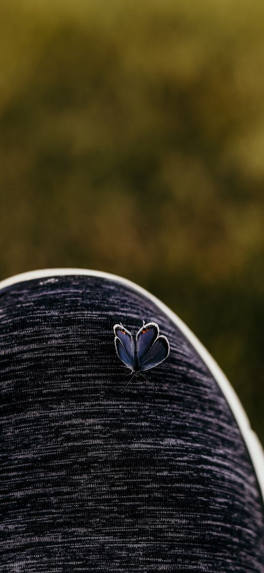 butterfly, closeup, shoes, cloth