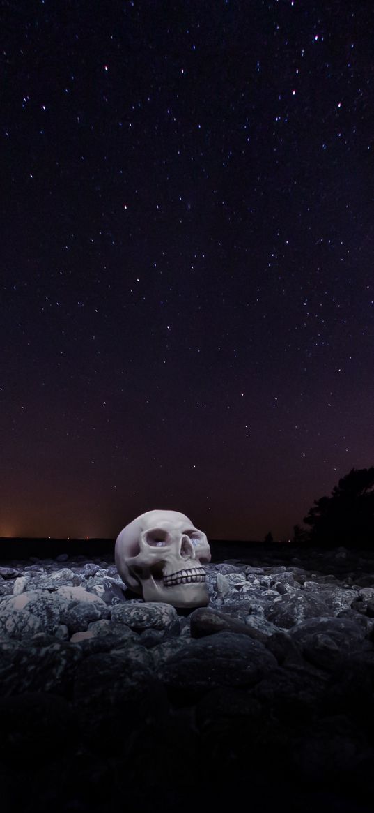 skull, starry sky, stones, night