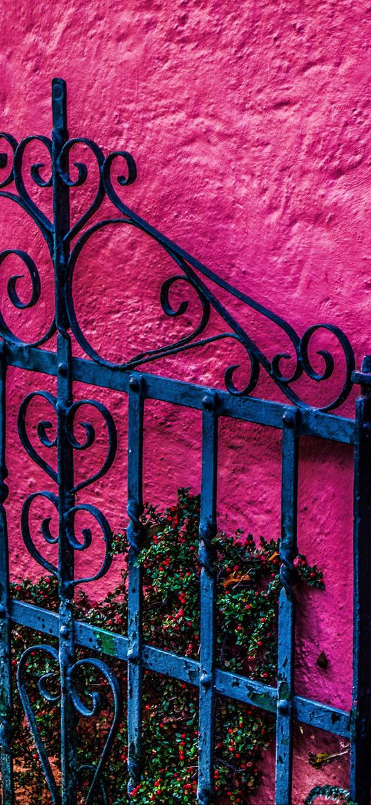 gate, wall, pink, flowers, hdr