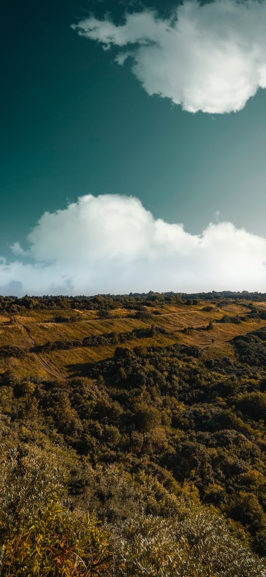 mountain, sunrise, clouds, grass