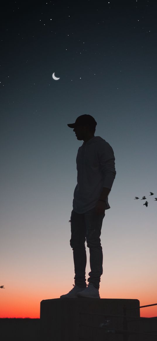 boy, sunset, birds, sky, moon, stars, solitude