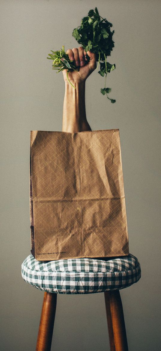 hand, greens, bag, chair, creative