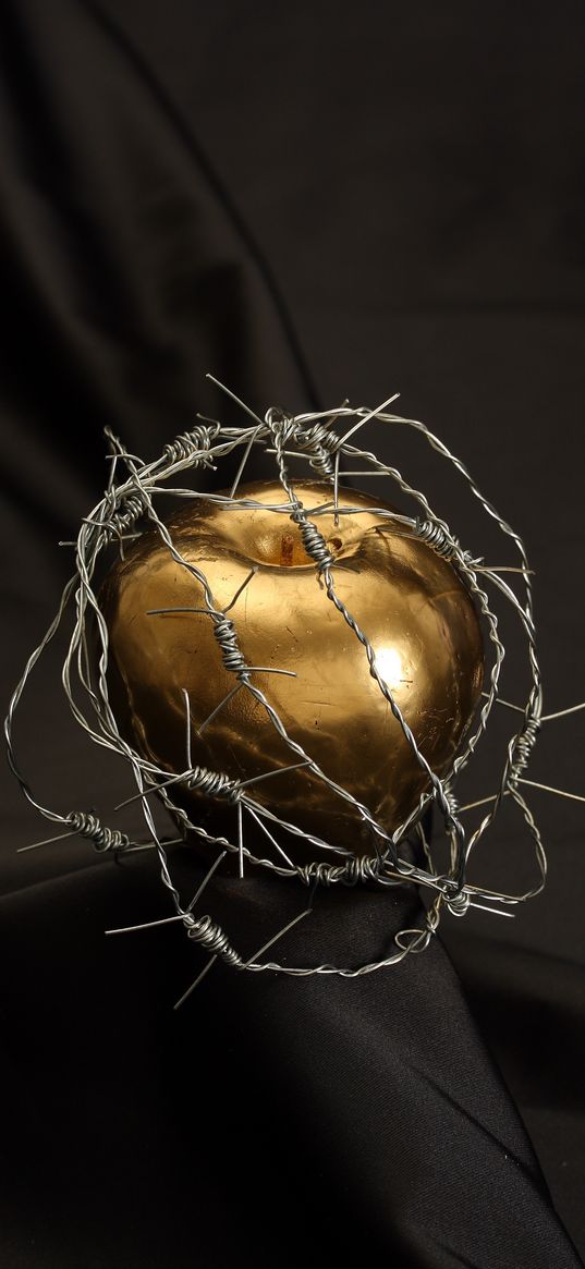 apple, barbed wire, drops, gold