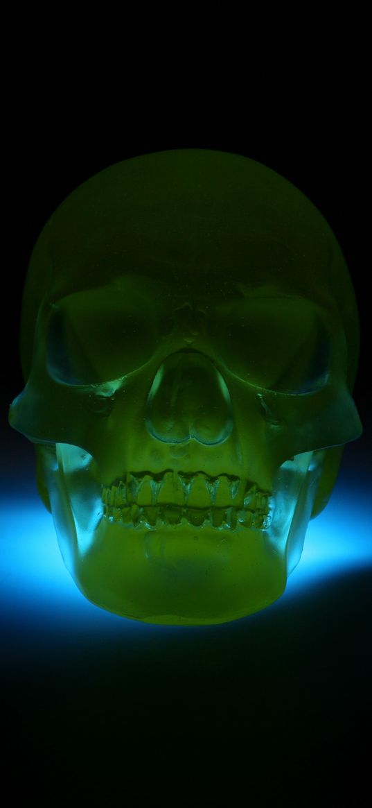 skull, 3d model, neon, shadow