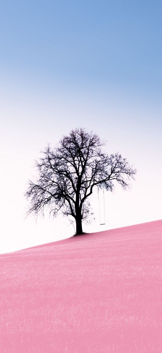 tree, swing, slope, photoshop