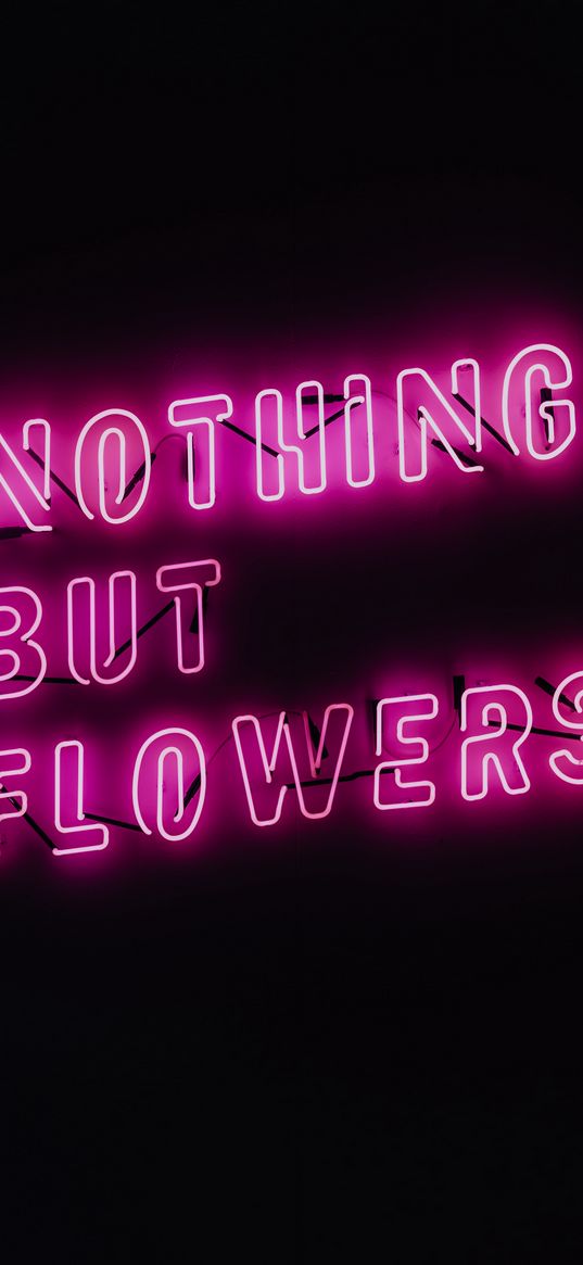 neon, inscription, illumination, flowers