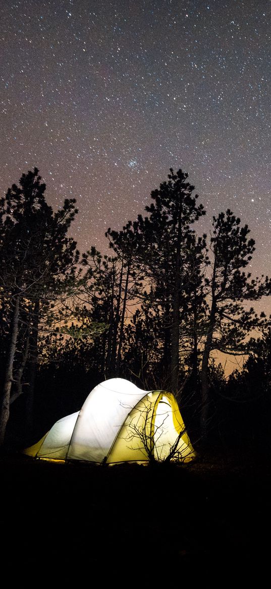 tent, starry sky, camping, travel, night