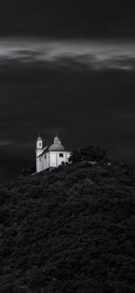 church, bw, trees, kirche am steinhof, church of saint leopold, vienna, austria