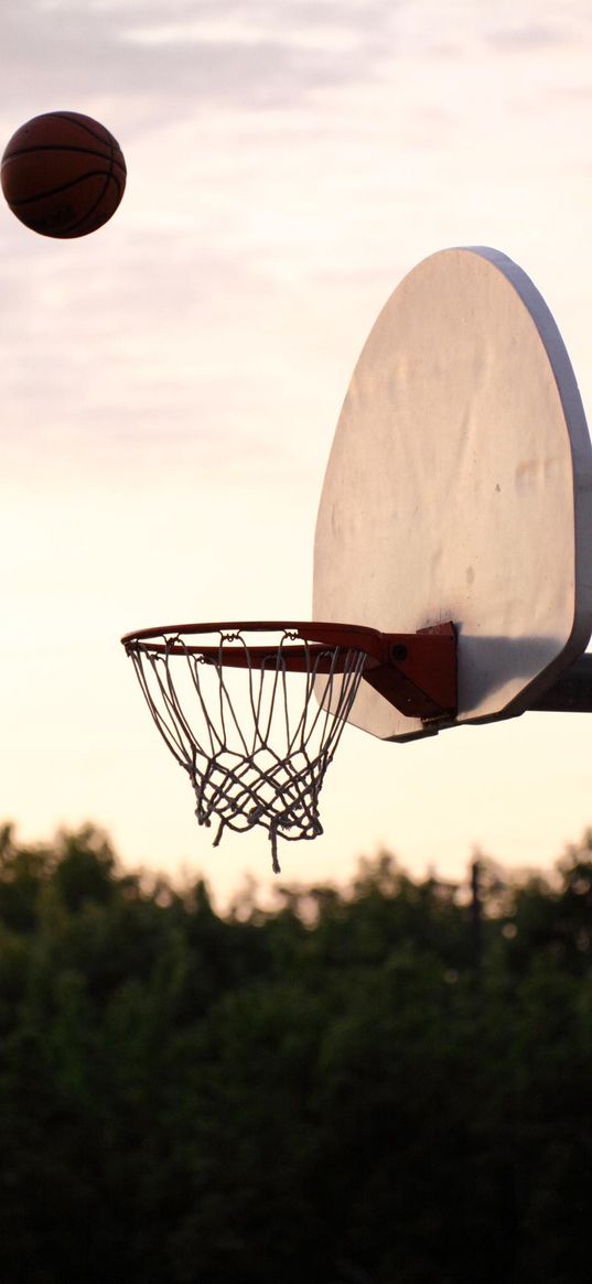 basketball, basketball hoop, ball, throw