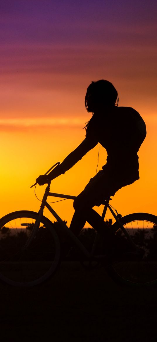 bicyclist, cyclist, silhouette, sunset, bicycle