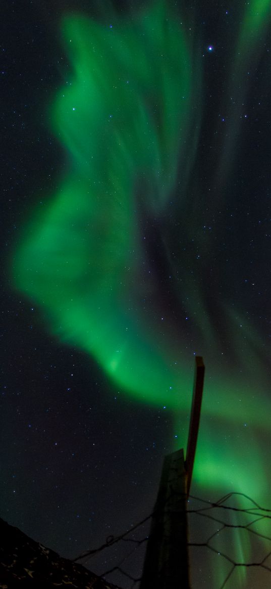 northern lights, aurora, starry sky, norway