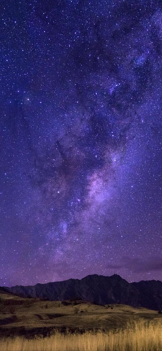 starry sky, milky way, horizon, field, night