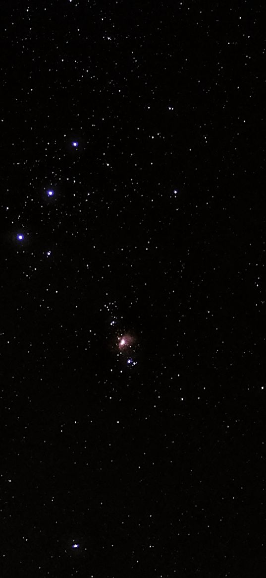 orion nebula, starry sky, galaxy, m42