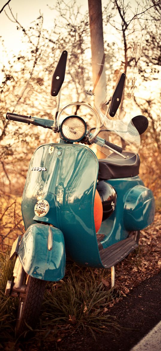 vespa, scooter, motorcycle, autumn