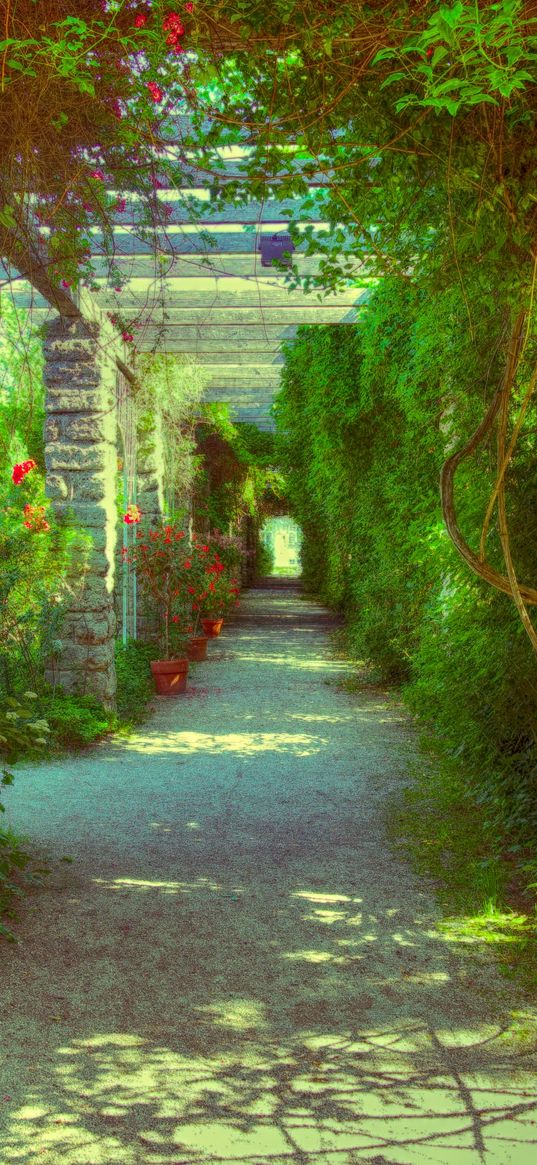 passage, overgrown, flowers, plant