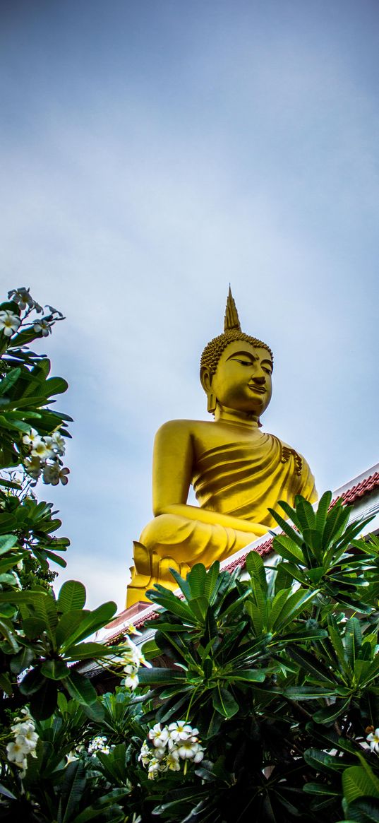 buddha, buddhism, sculpture, statue, plants