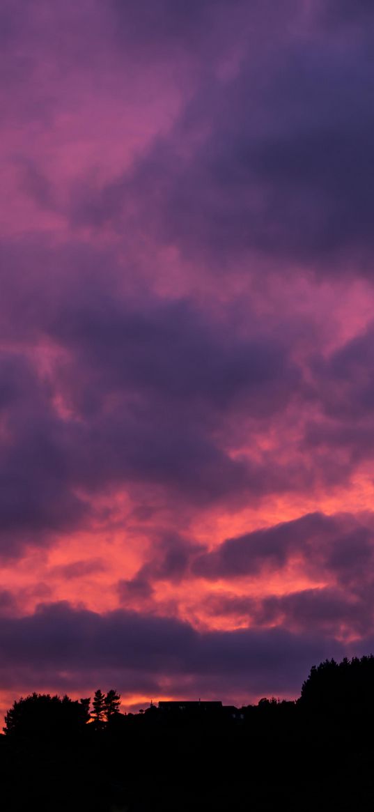 clouds, sunset, porous, sky, horizon