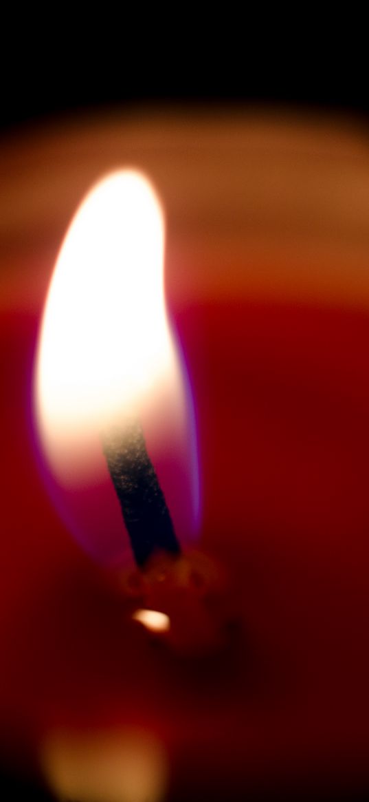 candle, flame, wick, wax, close-up