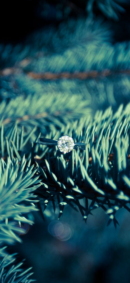 ring, diamond, spruce, needles