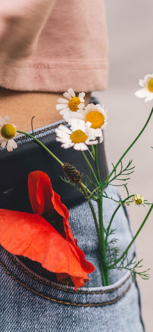 flowers, pocket, bouquet, belt