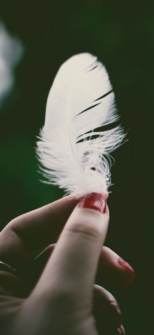 feather, hand, lightness, fingers