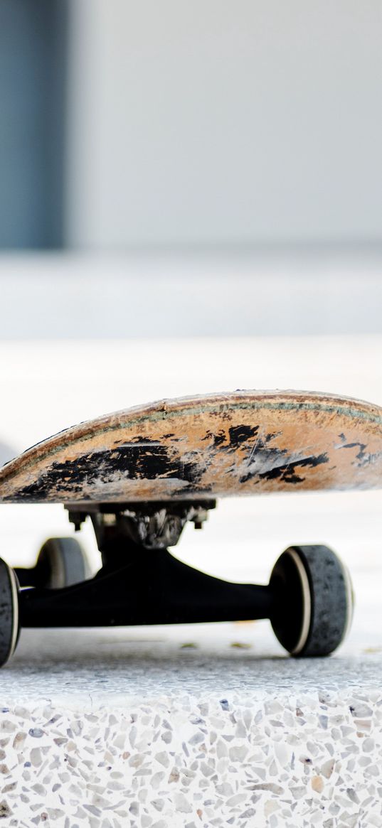 skateboard, board, wheels