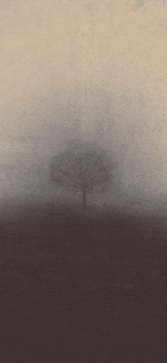 fog, tree, art, mystical