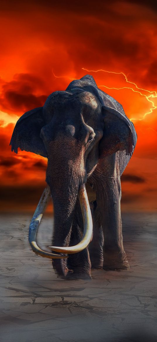 elephant, lightning, photoshop, fantasy