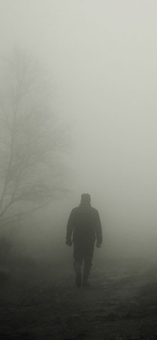 silhouette, fog, loneliness, alone