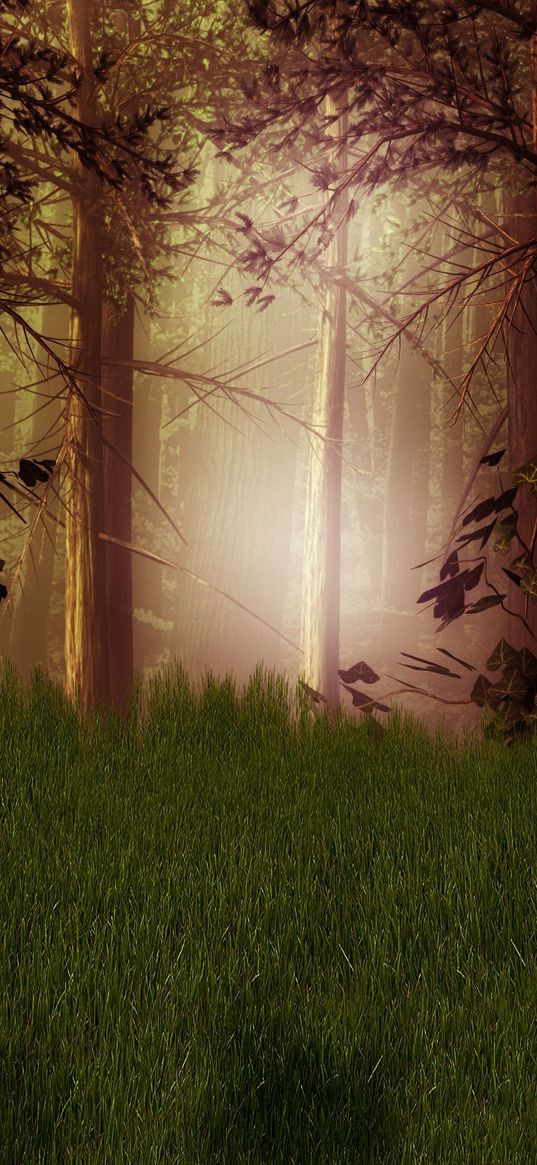 forest, fog, mystical, trees, grass