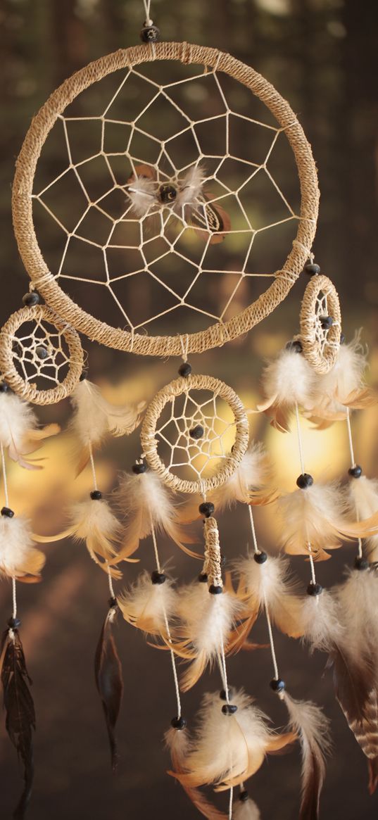 dreamcatcher, feathers, decoration, beads