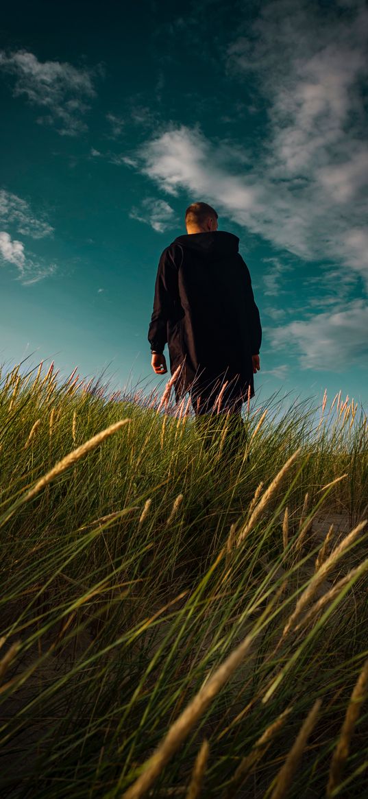 man, loneliness, field, wind, grass