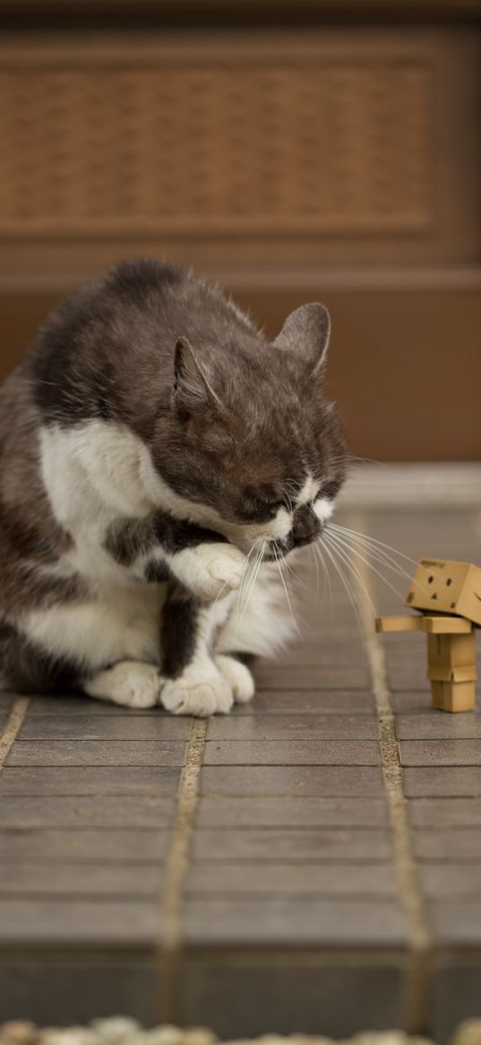 danbo, cat, friendship, cardboard robot