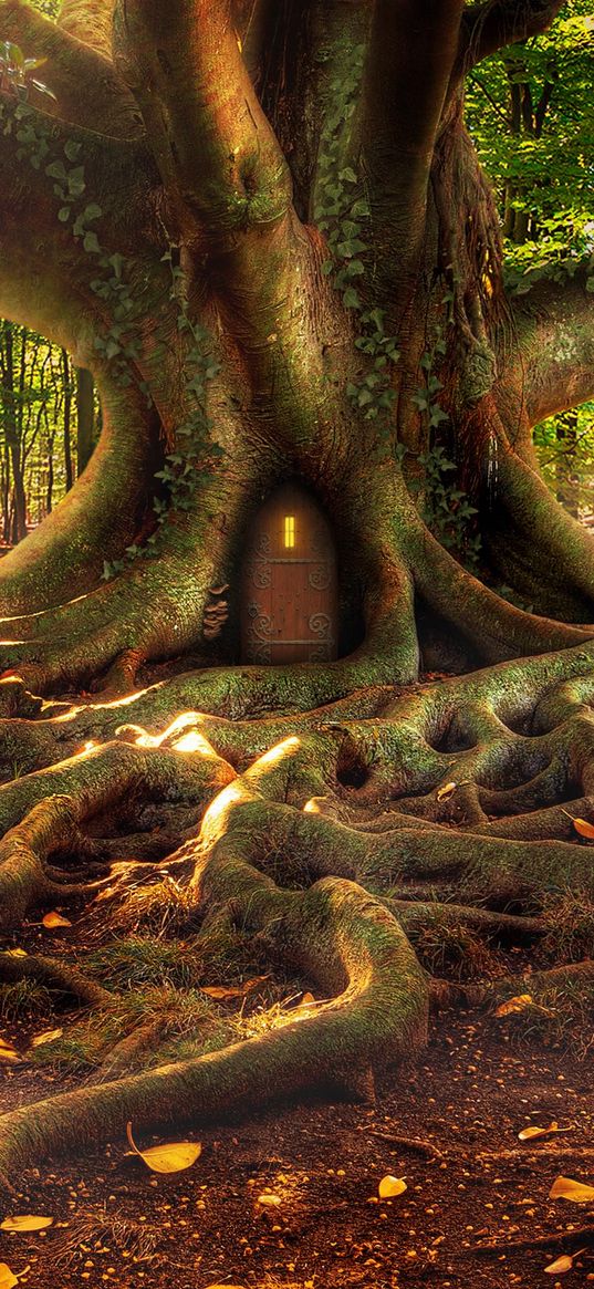 house, forest, tree, roots, fantasy