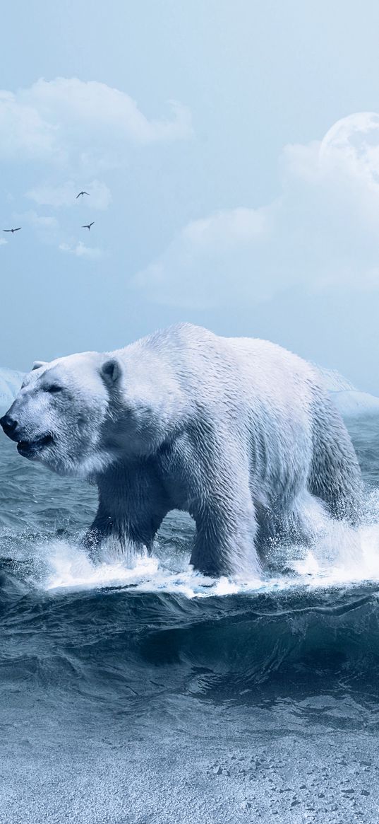 polar bear, ocean, photoshop, wave