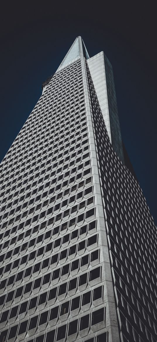 skyscraper, facade, architecture, minimalism