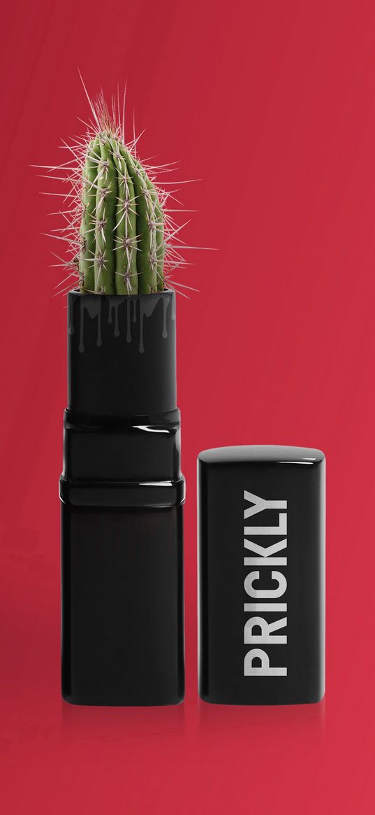 cactus, prickly, lipstick, creative