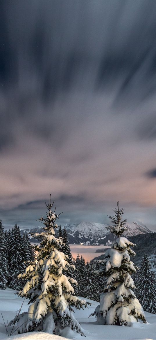 winter, snow, mountains, sunset, fir trees