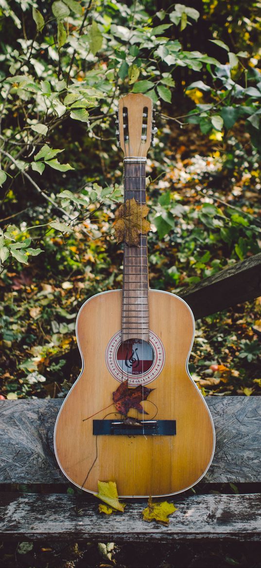 guitar, acoustic guitar, autumn, musical instrument, mood