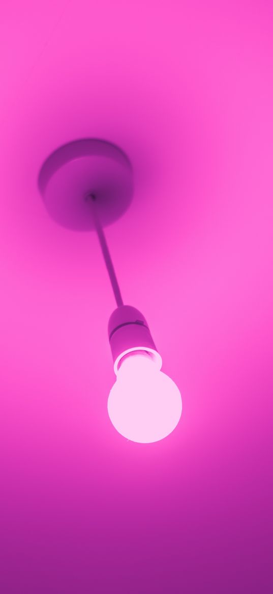 light bulb, electricity, pink, minimalism