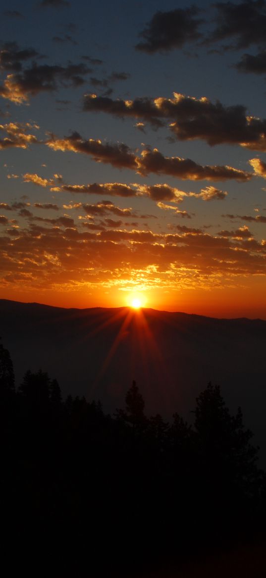 sunrise, horizon, trees, mountains, sky, clouds