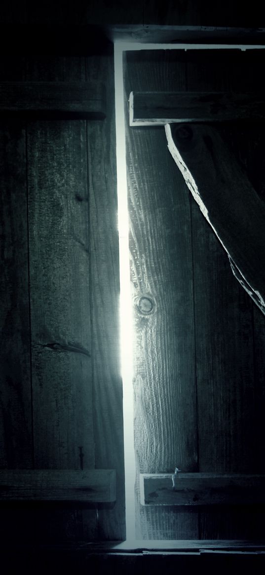 door, wooden, dark, light