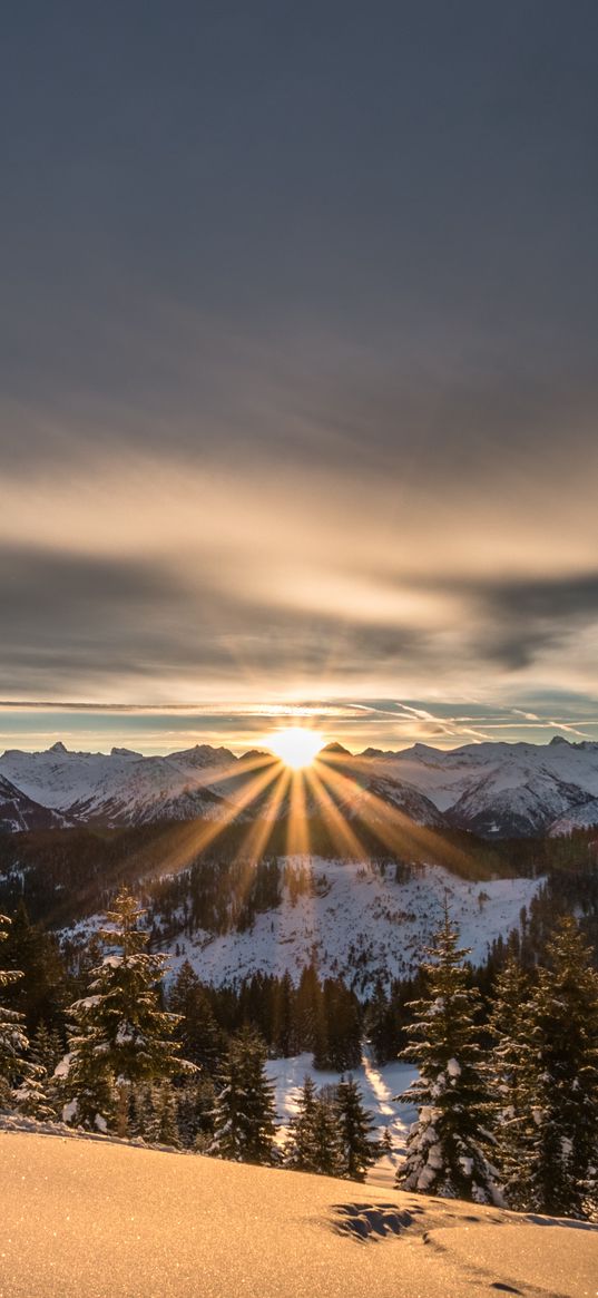 mountains, winter, snow, sunshine, firs