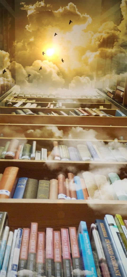 books, library, photoshop, shelves, clouds, reading, flight