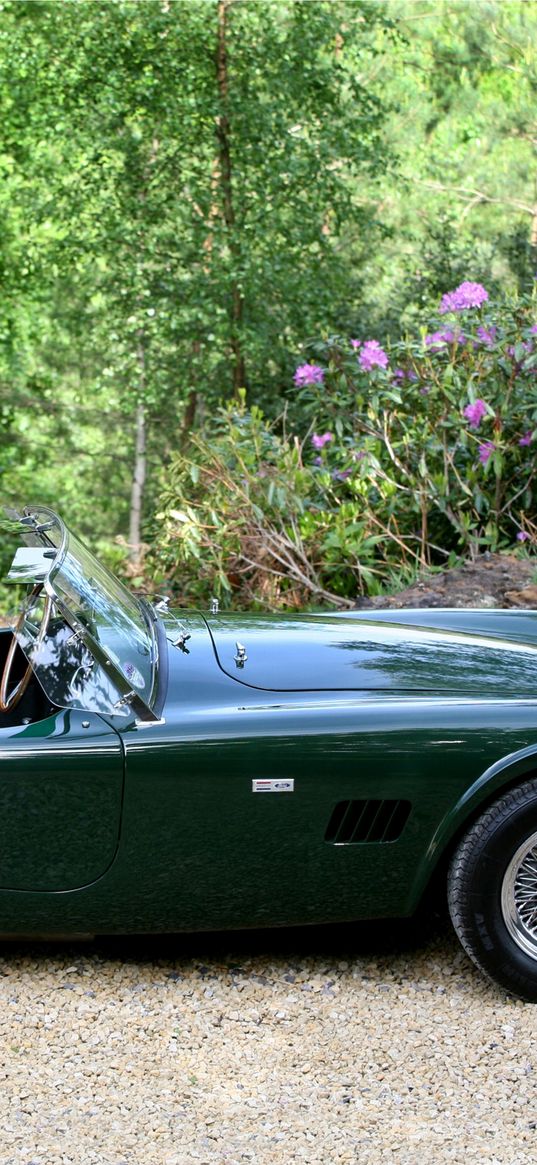 ac, cobra, green, side view, retro, nature, car