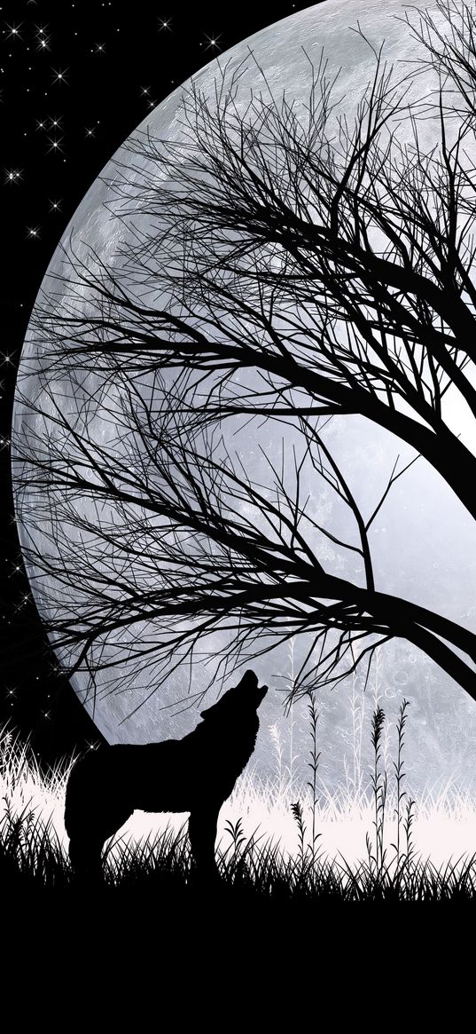 wolf, full moon, silhouettes, art, vector, photographer