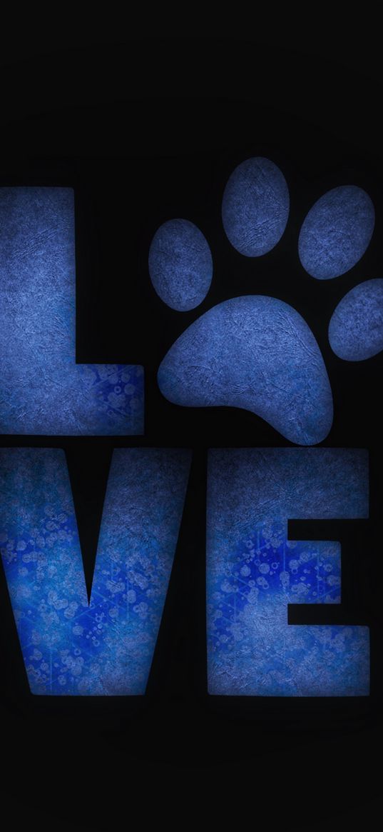 love, paw, animals, care